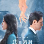 My Battle With Marriage Chinese drama