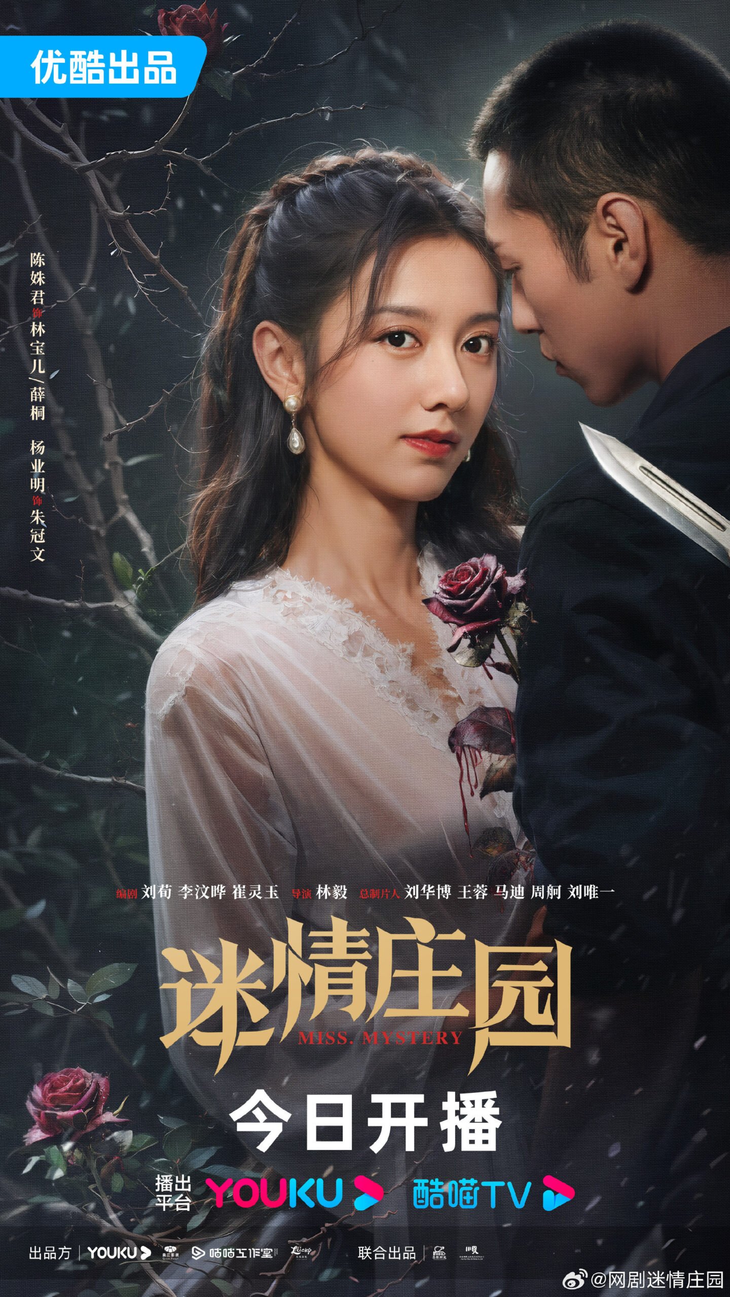 Miss Mystery Chinese drama