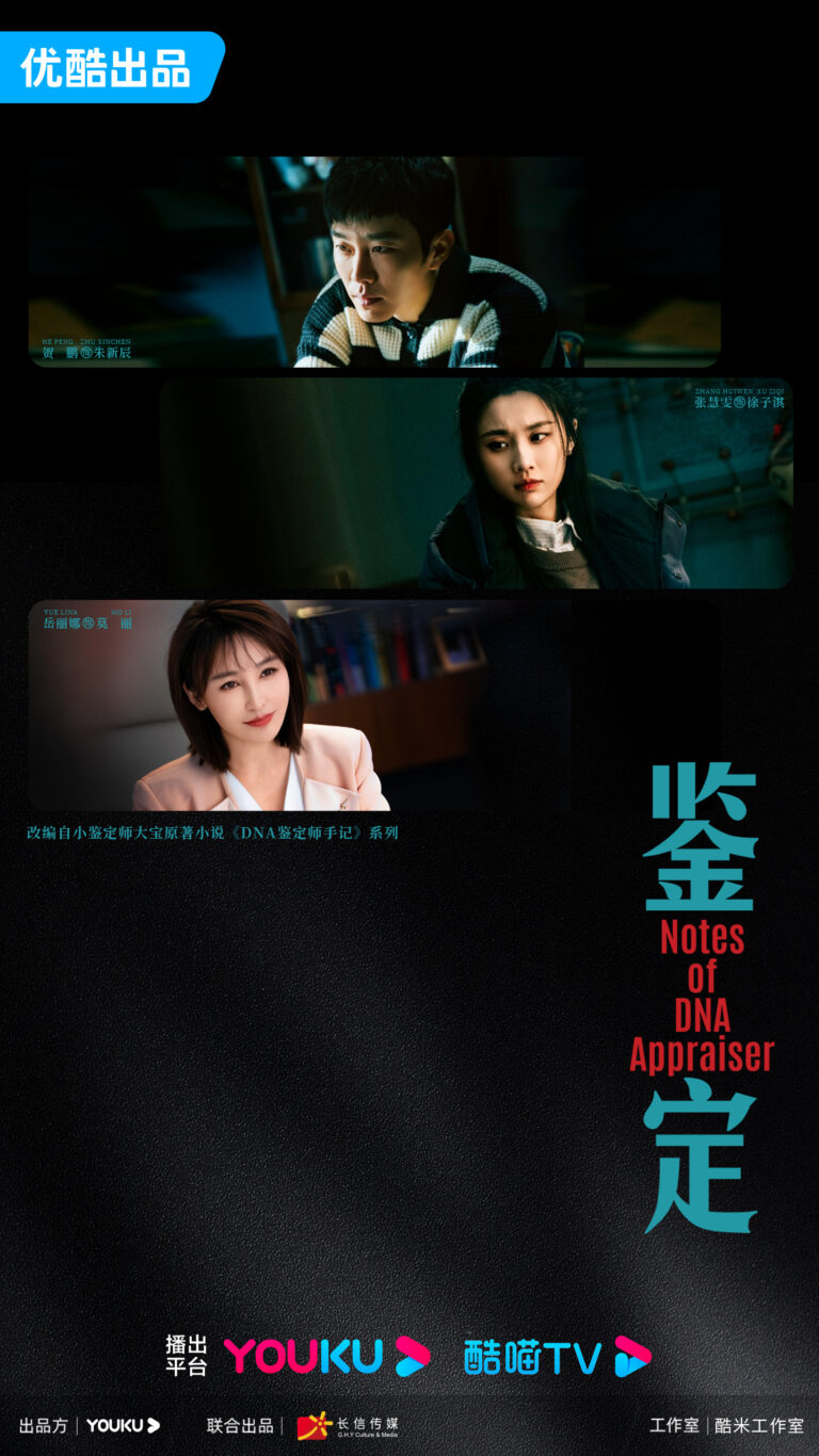Notes Of DNA Appraiser Chinese drama
