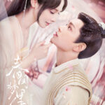 Romance Of A Twin Flower Chinese drama