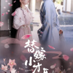 The Substitute Love Chinese drama