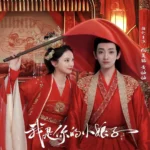 Wo Shi Ni De Xiao Niang Zi Chinese drama