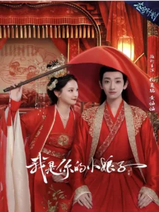 Wo Shi Ni De Xiao Niang Zi Chinese drama