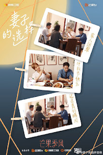 Chinese Drama: The Wife's Choice (Sun Li, Yuan Wenkang, Wang Zhener, Zhang Yao)