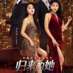 Veil of Revenge Chinese drama